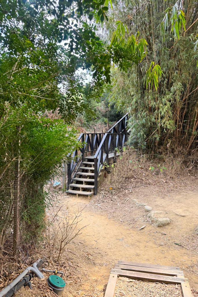 台中北屯｜大坑6號步道．全長1.7公里沿途美景，經觀音亭到風洞石 @飛天璇的口袋