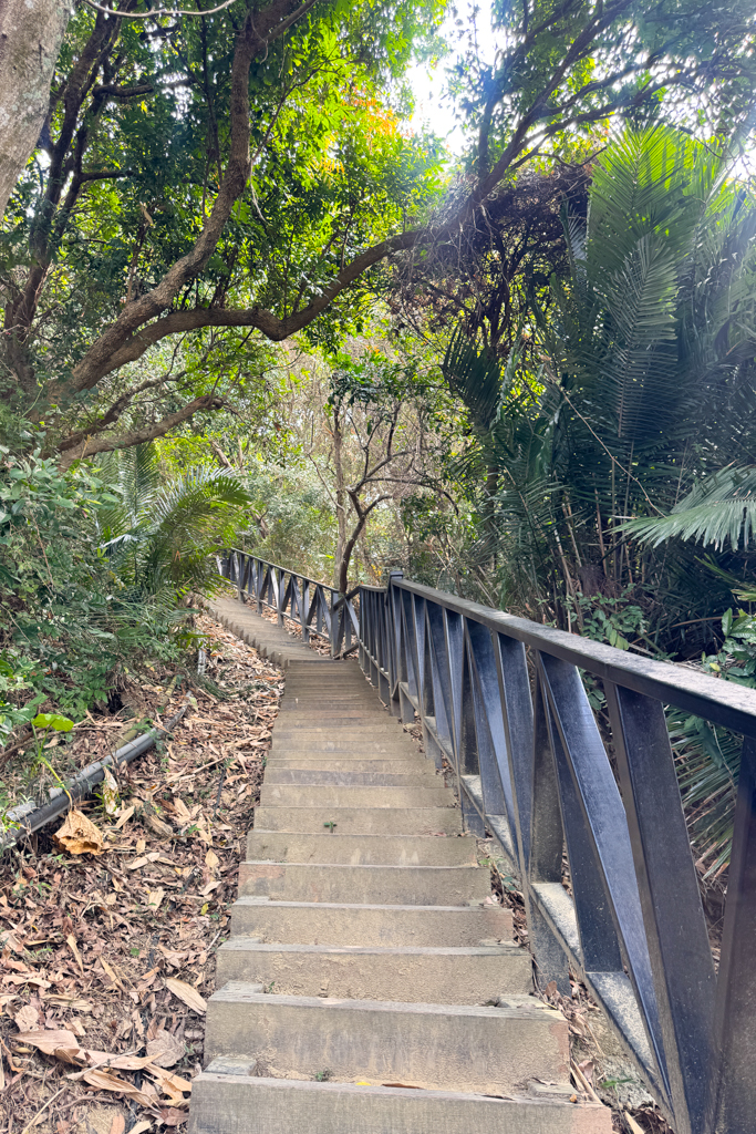 台中北屯|大坑6號步道.全長1.7公里沿途美景,經觀音亭到風洞石 @飛天璇的口袋 台中北屯|大坑6號步道.全長1.7公里沿途美景,經觀音亭到風洞石 @飛天璇的口袋
