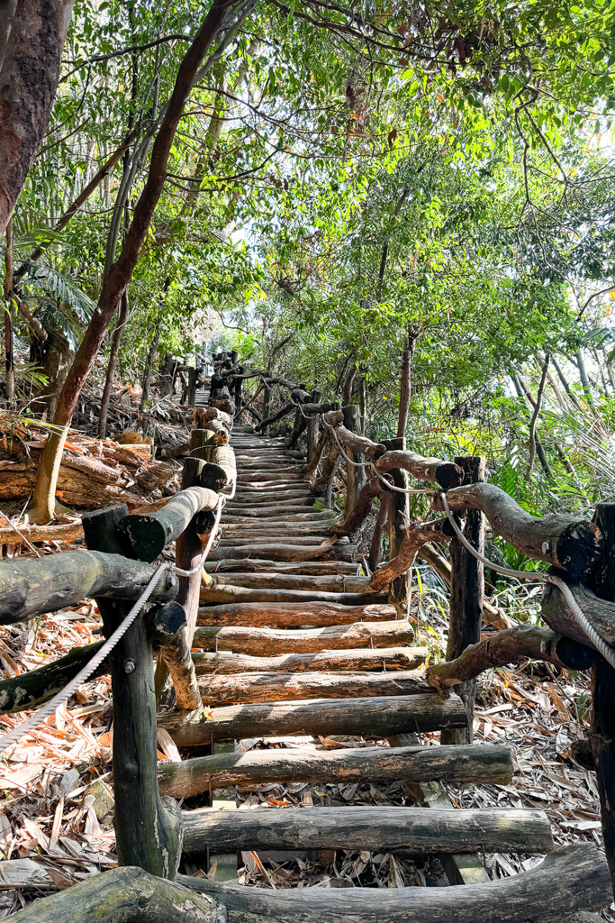 台中北屯｜大坑8號登山步道．沿途經相思木棧道，終點連接風動石公園 @飛天璇的口袋