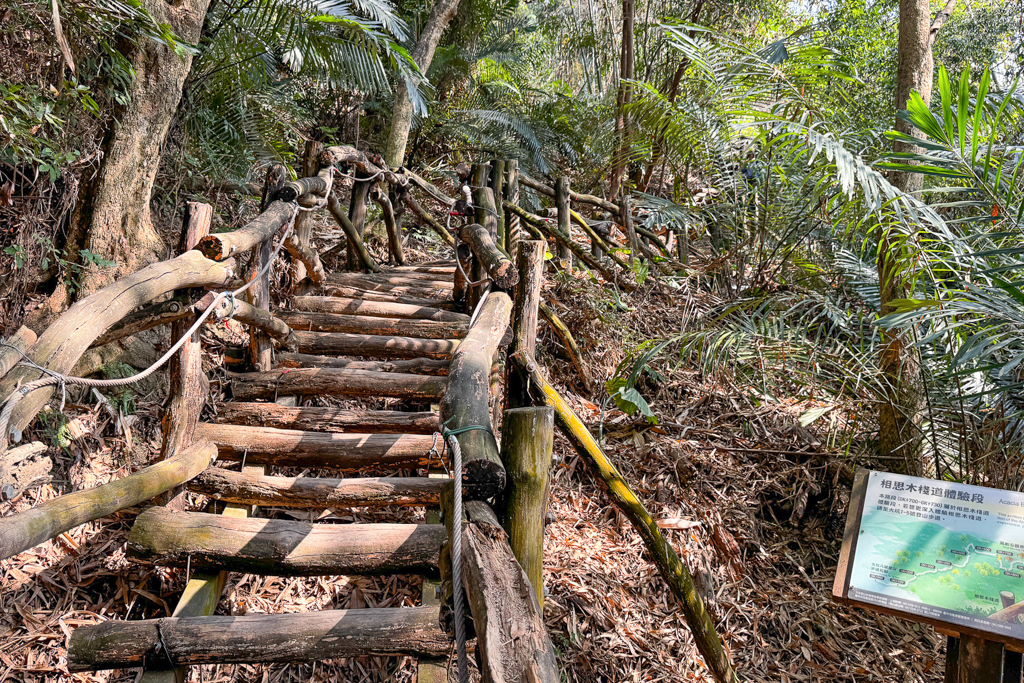 台中北區｜李媽媽豬排咖哩專賣店．北平路超人氣便當店，便當乾淨又有質感 @飛天璇的口袋