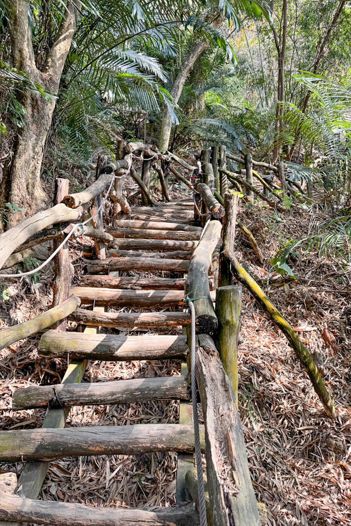 台中北屯｜大坑8號登山步道．沿途經相思木棧道，終點連接風動石公園 @飛天璇的口袋