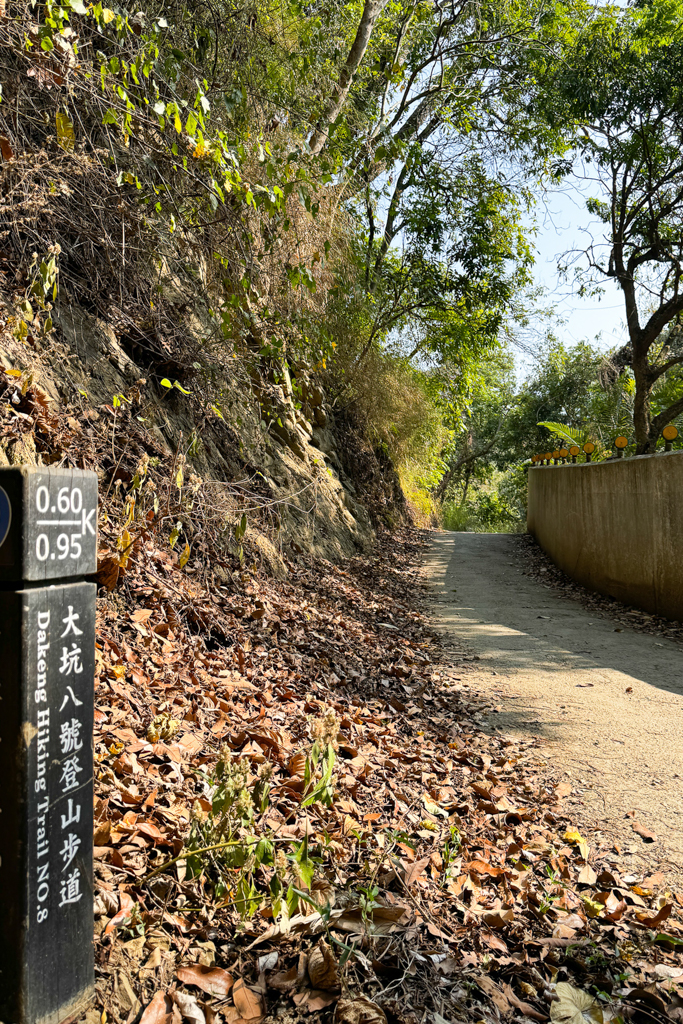 台中北屯｜大坑8號登山步道．沿途經相思木棧道，終點連接風動石公園 @飛天璇的口袋