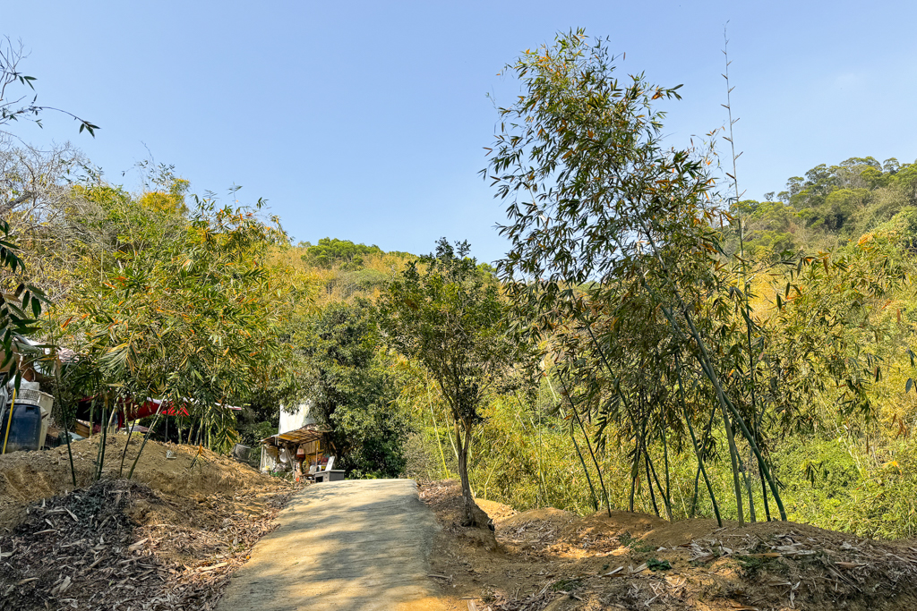 台中北屯｜大坑8號登山步道．沿途經相思木棧道，終點連接風動石公園 @飛天璇的口袋