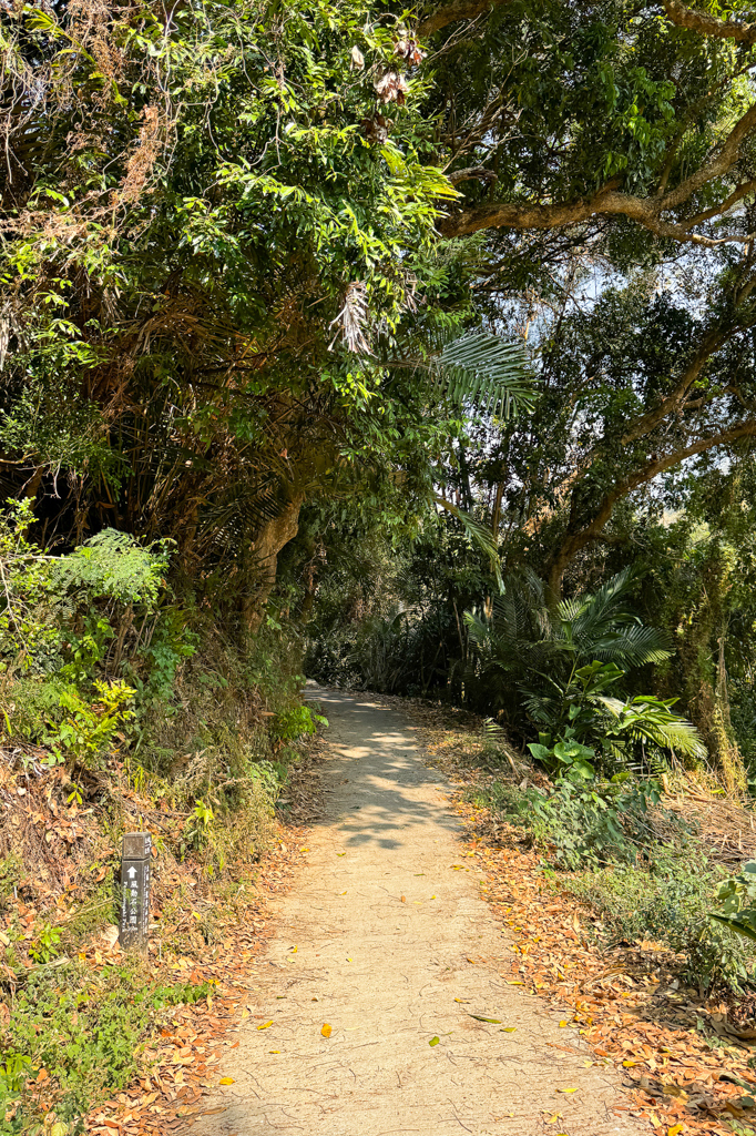 台中北屯｜大坑8號登山步道．沿途經相思木棧道，終點連接風動石公園 @飛天璇的口袋