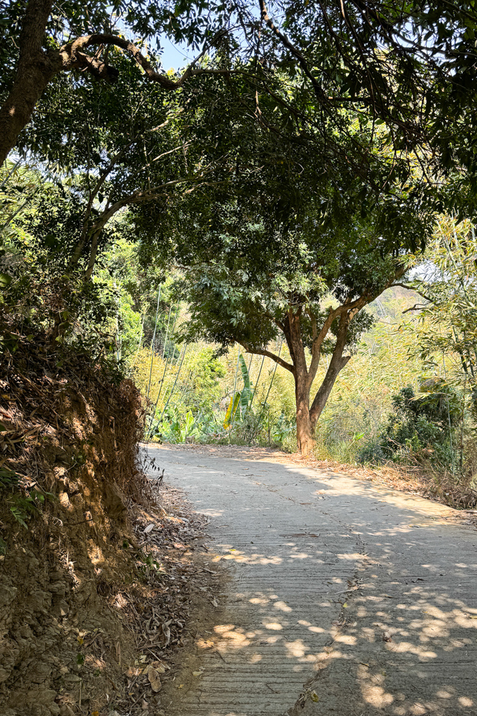 台中北屯｜大坑8號登山步道．沿途經相思木棧道，終點連接風動石公園 @飛天璇的口袋