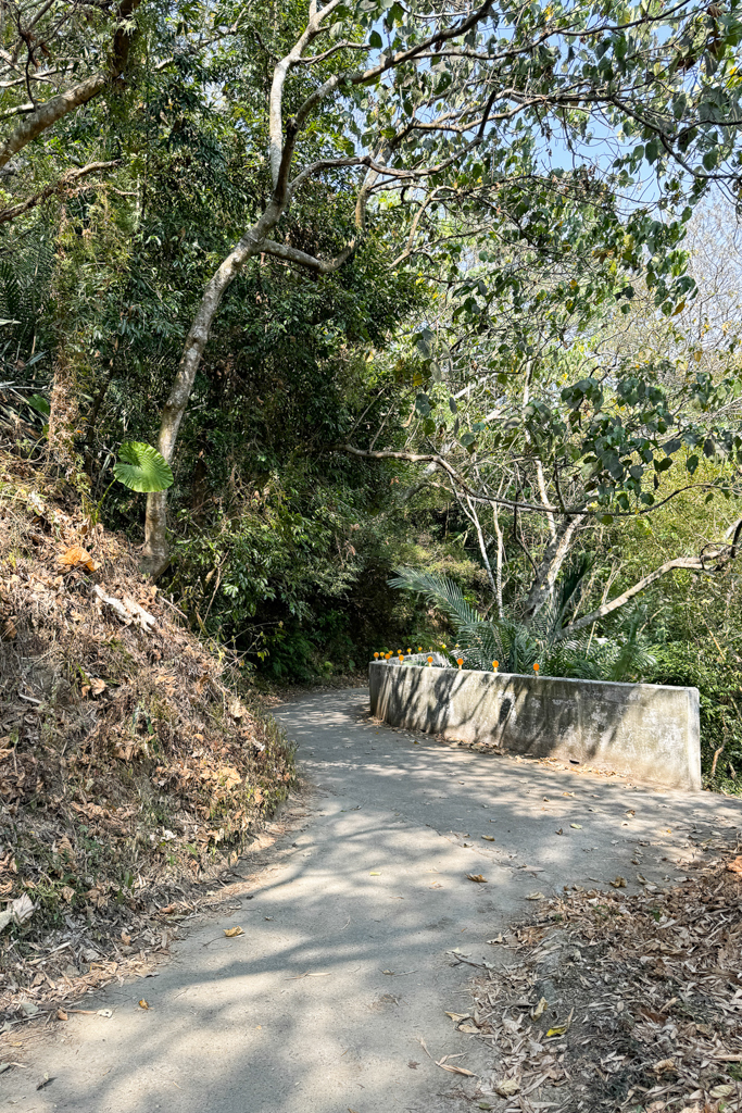 台中北屯｜大坑8號登山步道．沿途經相思木棧道，終點連接風動石公園 @飛天璇的口袋