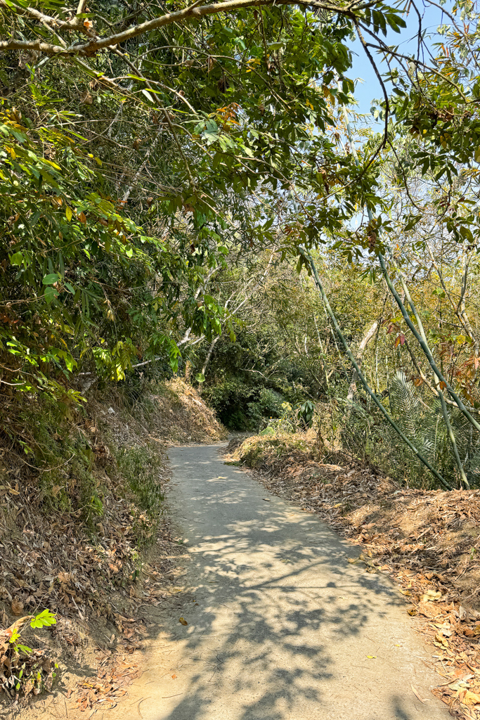台中北屯｜大坑8號登山步道．沿途經相思木棧道，終點連接風動石公園 @飛天璇的口袋