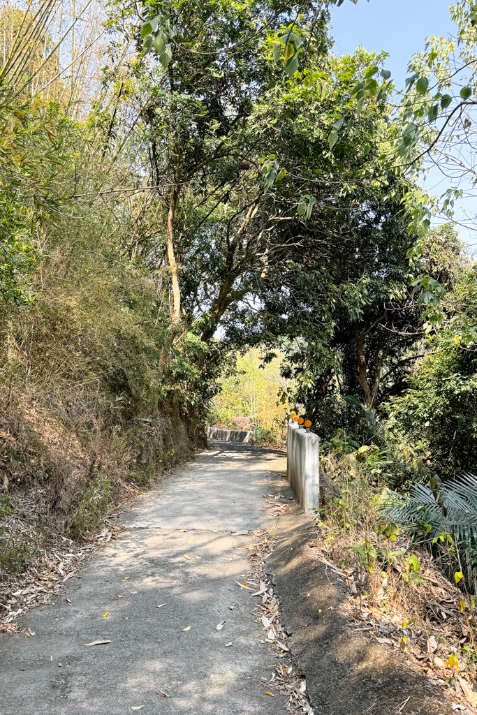 台中北屯｜大坑8號登山步道．沿途經相思木棧道，終點連接風動石公園 @飛天璇的口袋