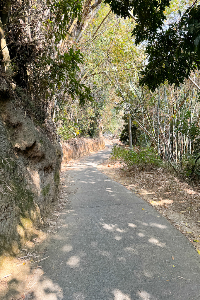 台中北屯｜大坑8號登山步道．沿途經相思木棧道，終點連接風動石公園 @飛天璇的口袋