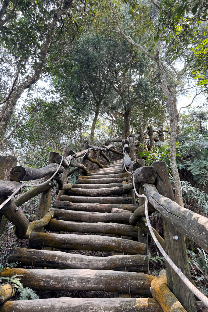 台中北屯|大坑5-1號登山步道.融入日本作家水上勉元素,銜接5號步道抵達頭嵙山 @飛天璇的口袋 台中北屯|大坑5-1號登山步道.融入日本作家水上勉元素,銜接5號步道抵達頭嵙山 @飛天璇的口袋
