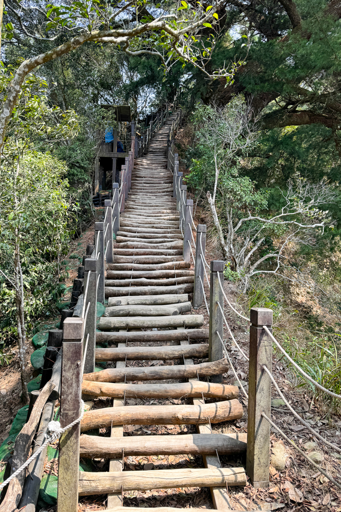 台中北屯｜大坑5-1號登山步道．融入日本作家水上勉元素，銜接5號步道抵達頭嵙山 @飛天璇的口袋