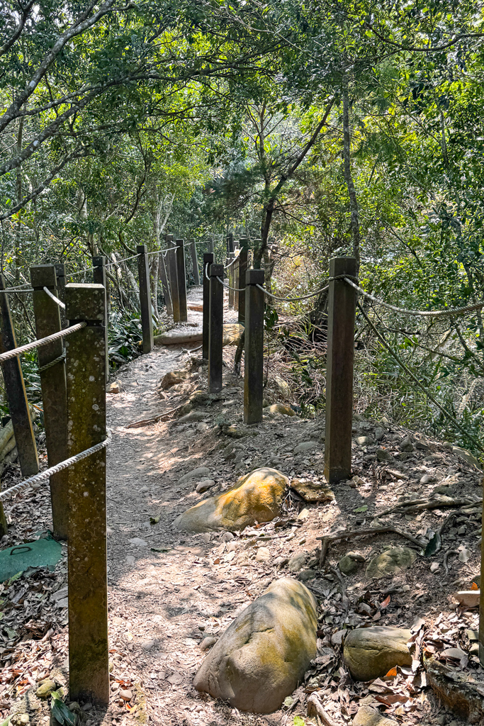 台中北屯｜大坑5-1號登山步道．融入日本作家水上勉元素，銜接5號步道抵達頭嵙山 @飛天璇的口袋