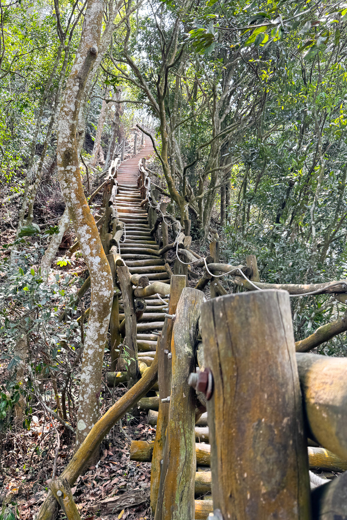 台中北屯|大坑5-1號登山步道.融入日本作家水上勉元素,銜接5號步道抵達頭嵙山 @飛天璇的口袋 台中北屯|大坑5-1號登山步道.融入日本作家水上勉元素,銜接5號步道抵達頭嵙山 @飛天璇的口袋