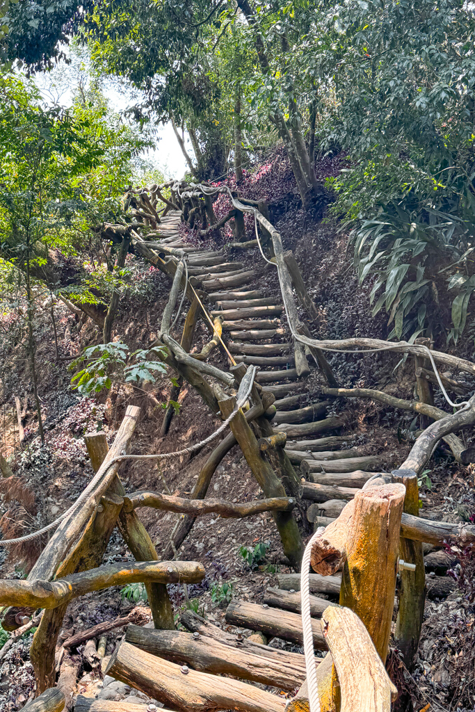 台中北屯｜大坑5-1號登山步道．融入日本作家水上勉元素，銜接5號步道抵達頭嵙山 @飛天璇的口袋