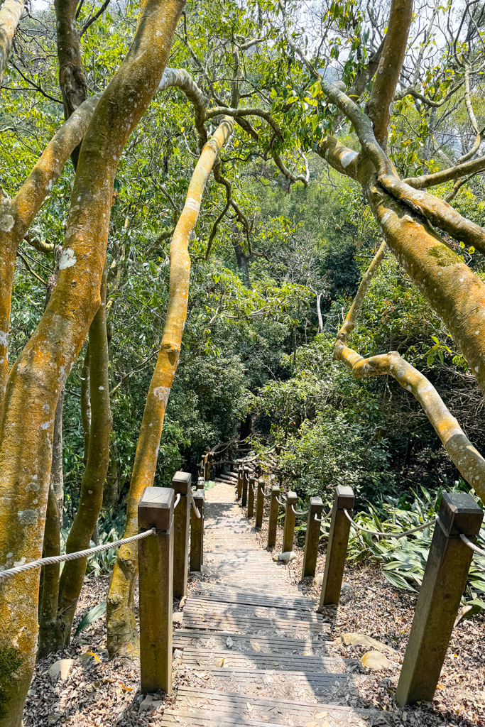 台中北屯|大坑5-1號登山步道.融入日本作家水上勉元素,銜接5號步道抵達頭嵙山 @飛天璇的口袋 台中北屯|大坑5-1號登山步道.融入日本作家水上勉元素,銜接5號步道抵達頭嵙山 @飛天璇的口袋