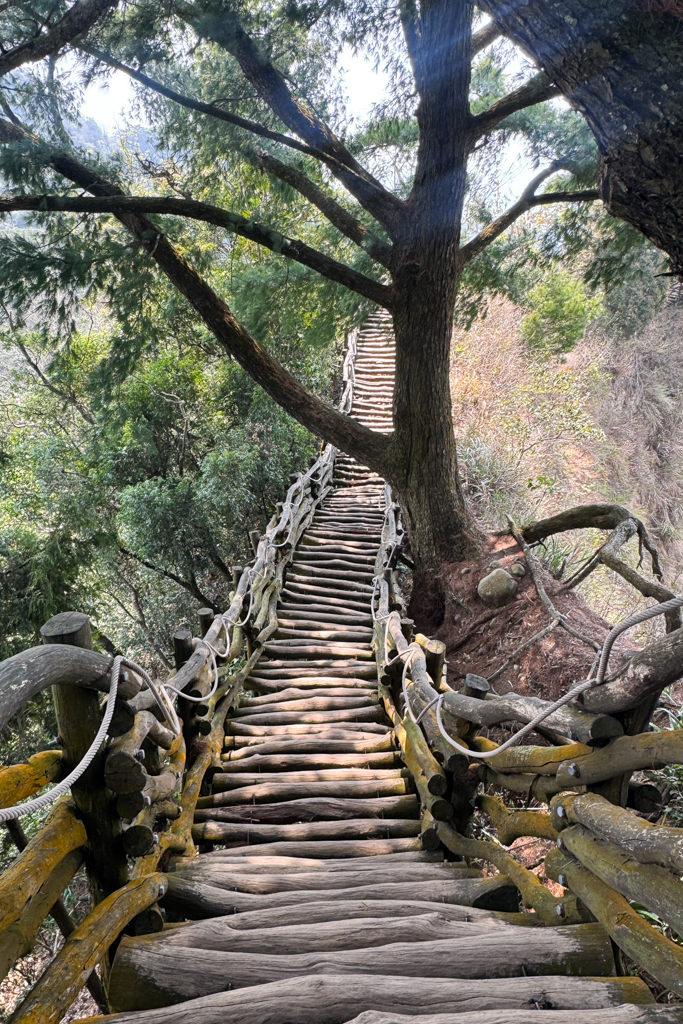 台中北屯｜大坑5-1號登山步道．融入日本作家水上勉元素，銜接5號步道抵達頭嵙山 @飛天璇的口袋