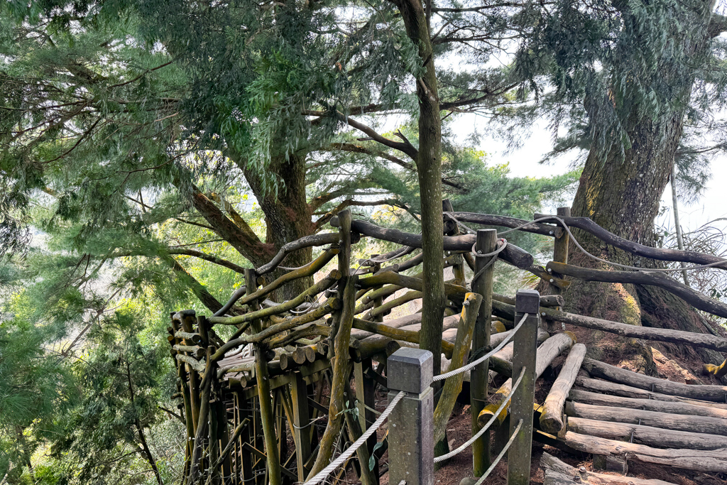 台中北屯｜大坑5-1號登山步道．融入日本作家水上勉元素，銜接5號步道抵達頭嵙山 @飛天璇的口袋