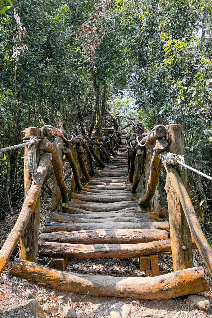 台中北屯｜大坑5-1號登山步道．融入日本作家水上勉元素，銜接5號步道抵達頭嵙山 @飛天璇的口袋