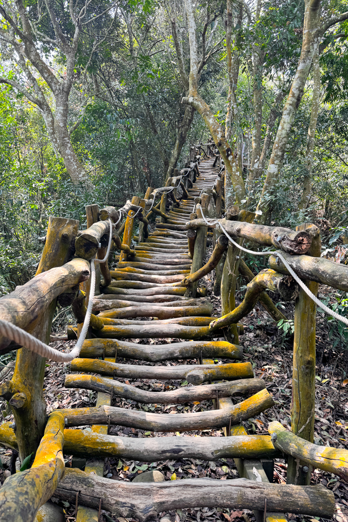 台中北屯｜大坑5-1號登山步道．融入日本作家水上勉元素，銜接5號步道抵達頭嵙山 @飛天璇的口袋