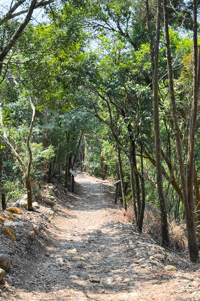 台中北屯｜大坑5-1號登山步道．融入日本作家水上勉元素，銜接5號步道抵達頭嵙山 @飛天璇的口袋