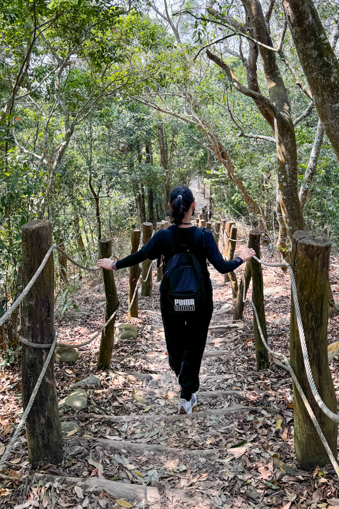 台中北屯｜大坑5-1號登山步道．融入日本作家水上勉元素，銜接5號步道抵達頭嵙山 @飛天璇的口袋