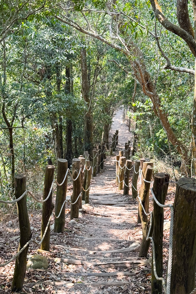 台中北屯|大坑5-1號登山步道.融入日本作家水上勉元素,銜接5號步道抵達頭嵙山 @飛天璇的口袋 台中北屯|大坑5-1號登山步道.融入日本作家水上勉元素,銜接5號步道抵達頭嵙山 @飛天璇的口袋