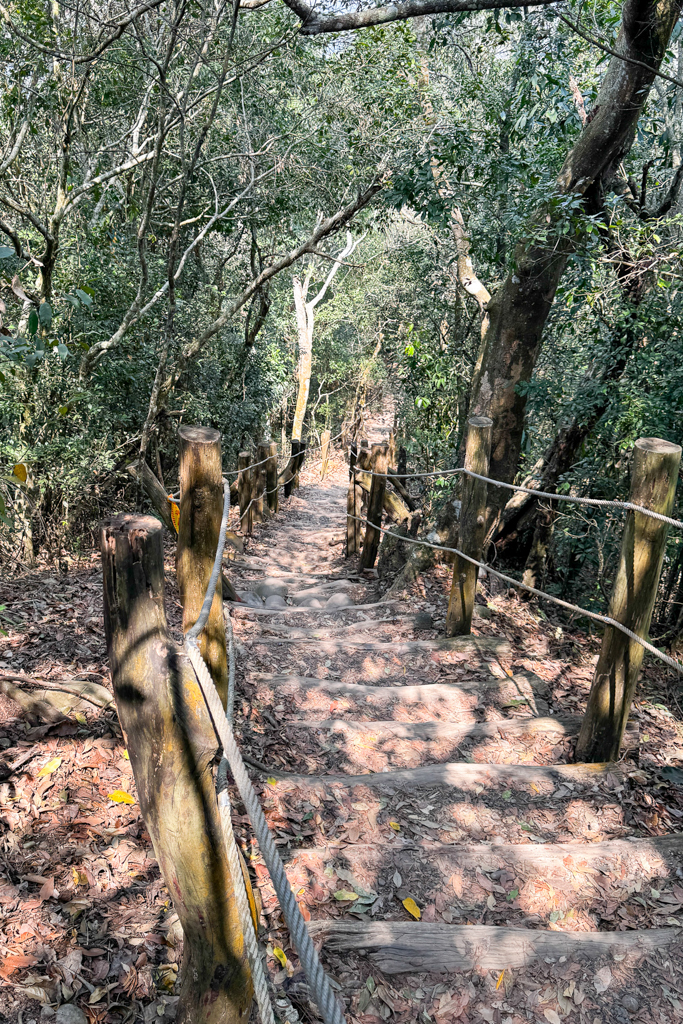 台中北屯|大坑5-1號登山步道.融入日本作家水上勉元素,銜接5號步道抵達頭嵙山 @飛天璇的口袋 台中北屯|大坑5-1號登山步道.融入日本作家水上勉元素,銜接5號步道抵達頭嵙山 @飛天璇的口袋