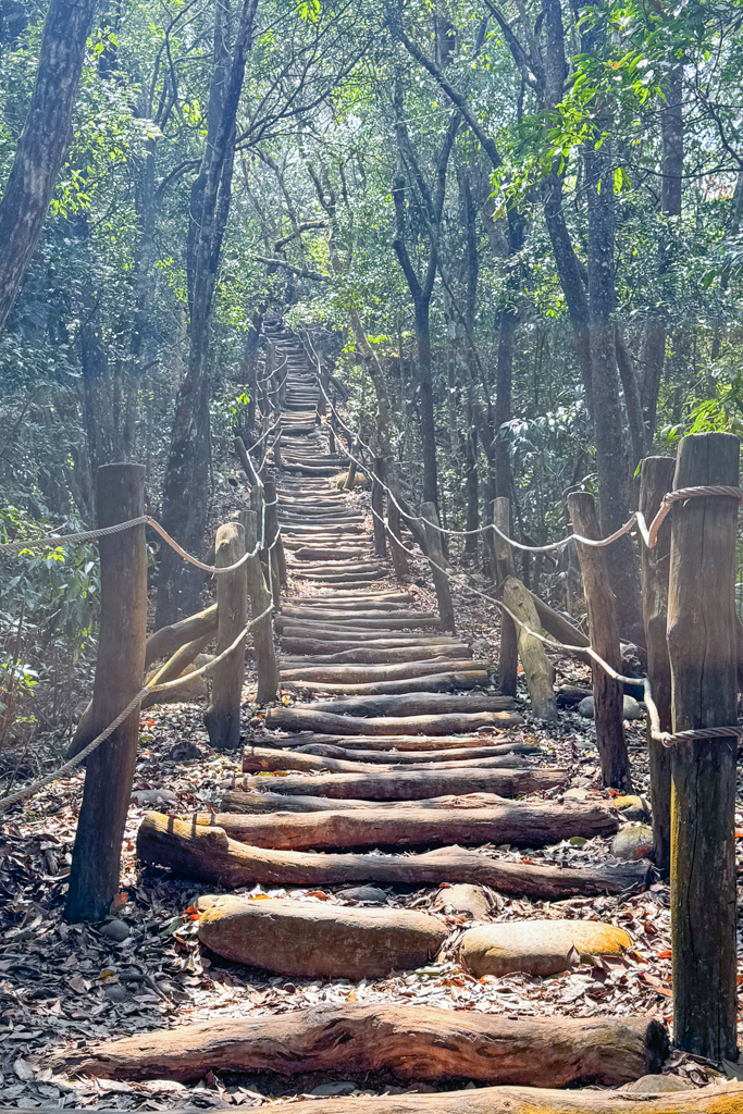 台中北屯｜大坑5-1號登山步道．融入日本作家水上勉元素，銜接5號步道抵達頭嵙山 @飛天璇的口袋