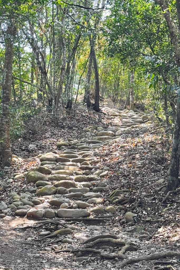台中北屯|大坑5-1號登山步道.融入日本作家水上勉元素,銜接5號步道抵達頭嵙山 @飛天璇的口袋 台中北屯|大坑5-1號登山步道.融入日本作家水上勉元素,銜接5號步道抵達頭嵙山 @飛天璇的口袋