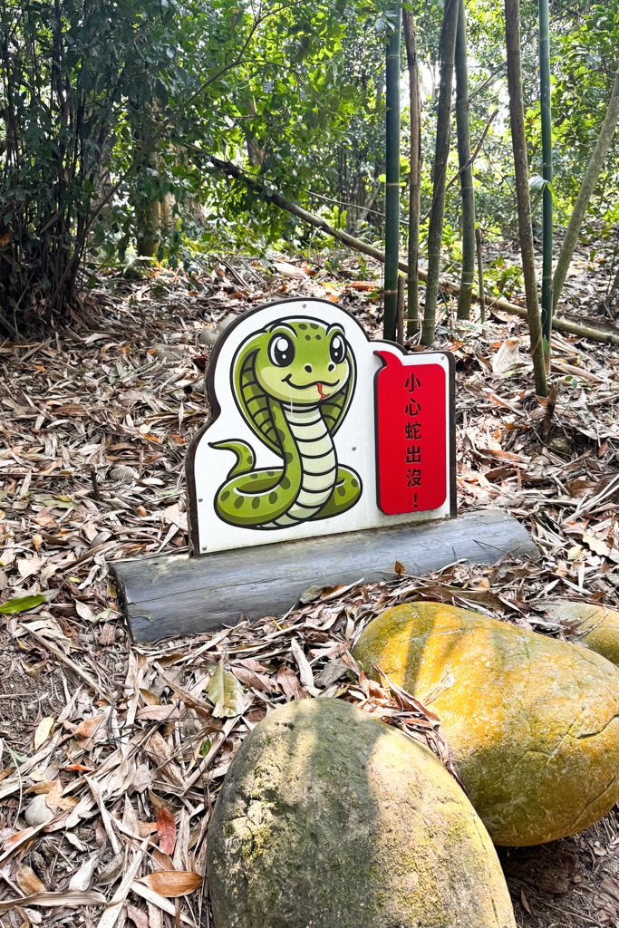 台中北屯|大坑5-1號登山步道.融入日本作家水上勉元素,銜接5號步道抵達頭嵙山 @飛天璇的口袋 台中北屯|大坑5-1號登山步道.融入日本作家水上勉元素,銜接5號步道抵達頭嵙山 @飛天璇的口袋