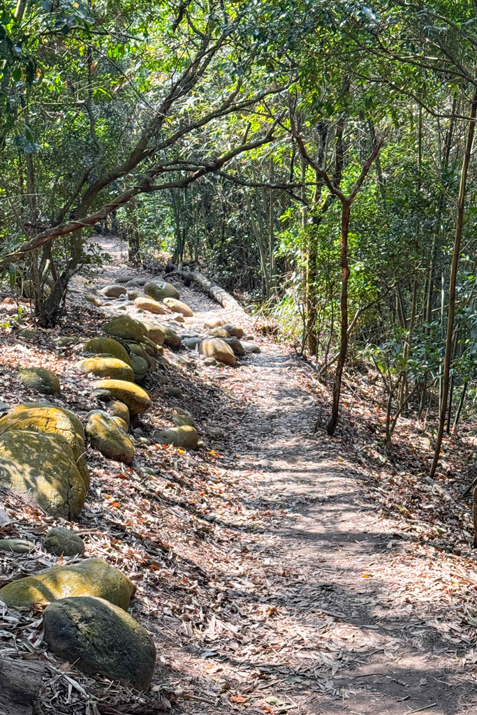 台中北屯|大坑5-1號登山步道.融入日本作家水上勉元素,銜接5號步道抵達頭嵙山 @飛天璇的口袋 台中北屯|大坑5-1號登山步道.融入日本作家水上勉元素,銜接5號步道抵達頭嵙山 @飛天璇的口袋
