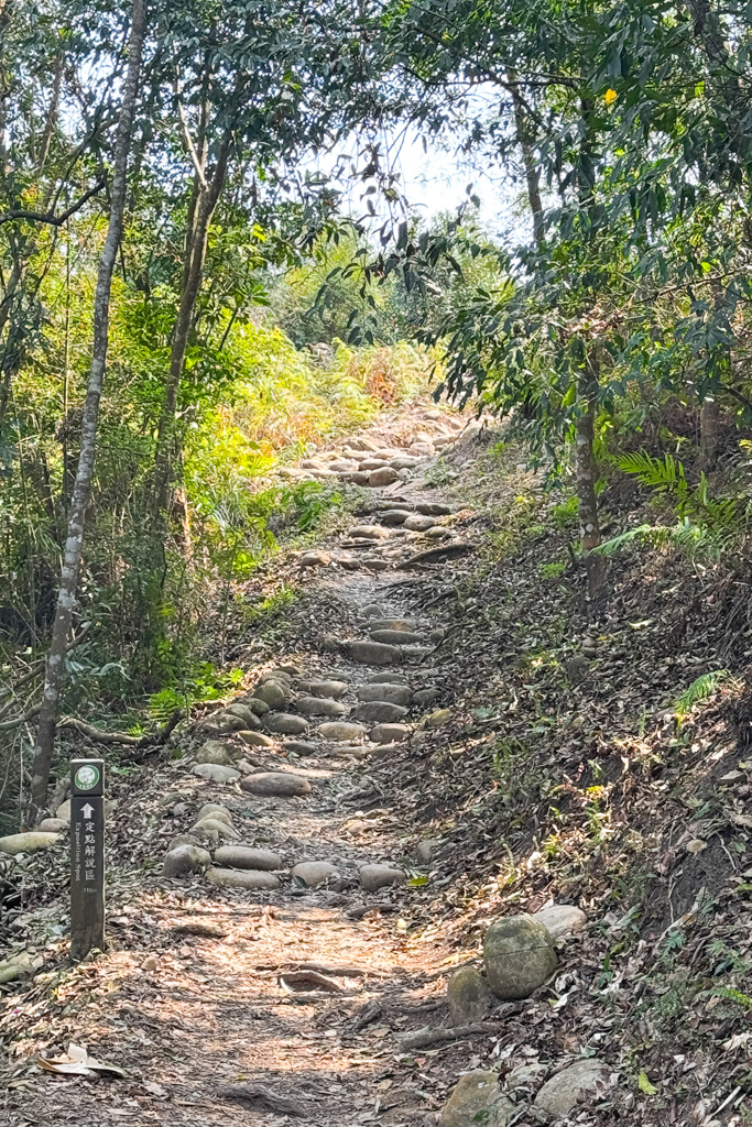 台中北屯｜大坑5-1號登山步道．融入日本作家水上勉元素，銜接5號步道抵達頭嵙山 @飛天璇的口袋