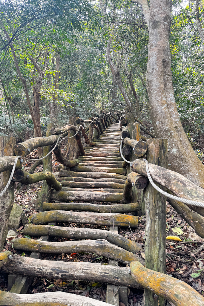 台中北屯|大坑5-1號登山步道.融入日本作家水上勉元素,銜接5號步道抵達頭嵙山 @飛天璇的口袋 台中北屯|大坑5-1號登山步道.融入日本作家水上勉元素,銜接5號步道抵達頭嵙山 @飛天璇的口袋