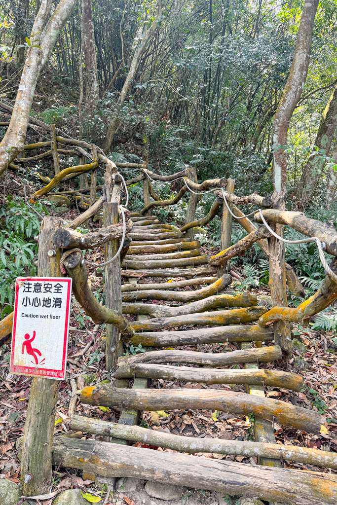台中北屯｜大坑5-1號登山步道．融入日本作家水上勉元素，銜接5號步道抵達頭嵙山 @飛天璇的口袋
