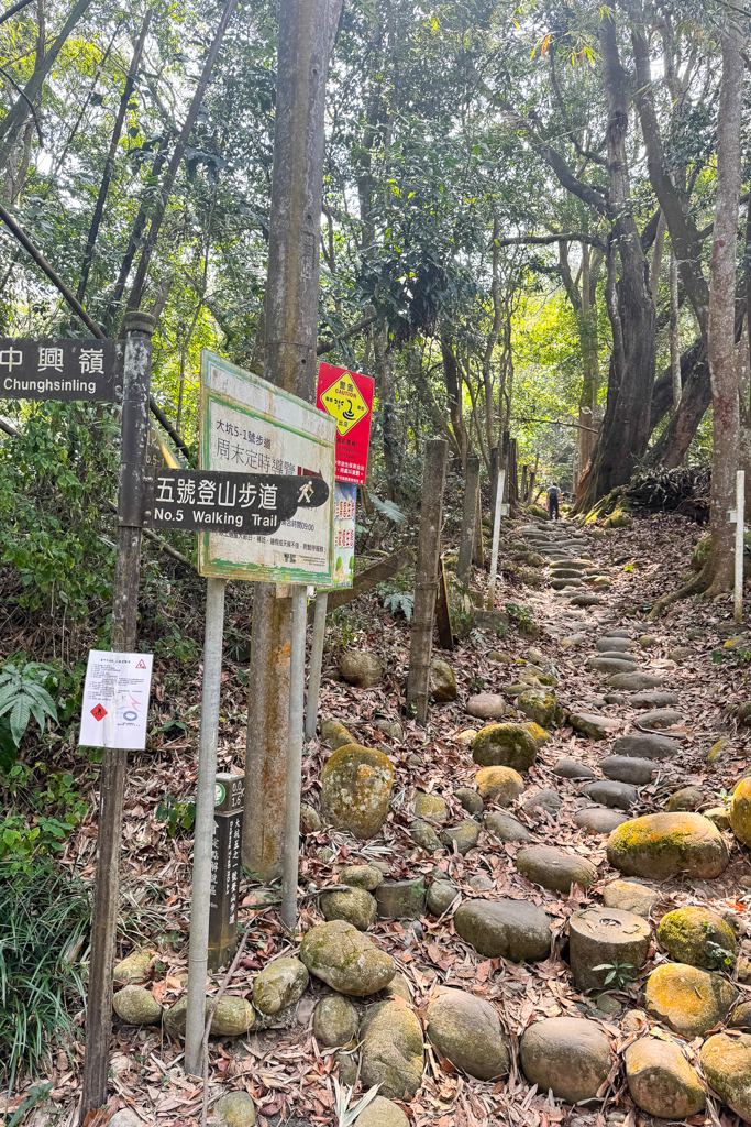 台中北屯|大坑5-1號登山步道.融入日本作家水上勉元素,銜接5號步道抵達頭嵙山 @飛天璇的口袋 台中北屯|大坑5-1號登山步道.融入日本作家水上勉元素,銜接5號步道抵達頭嵙山 @飛天璇的口袋