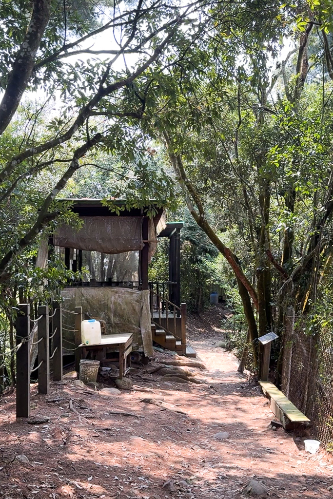 台中北屯|大坑5-1號登山步道.融入日本作家水上勉元素,銜接5號步道抵達頭嵙山 @飛天璇的口袋 台中北屯|大坑5-1號登山步道.融入日本作家水上勉元素,銜接5號步道抵達頭嵙山 @飛天璇的口袋