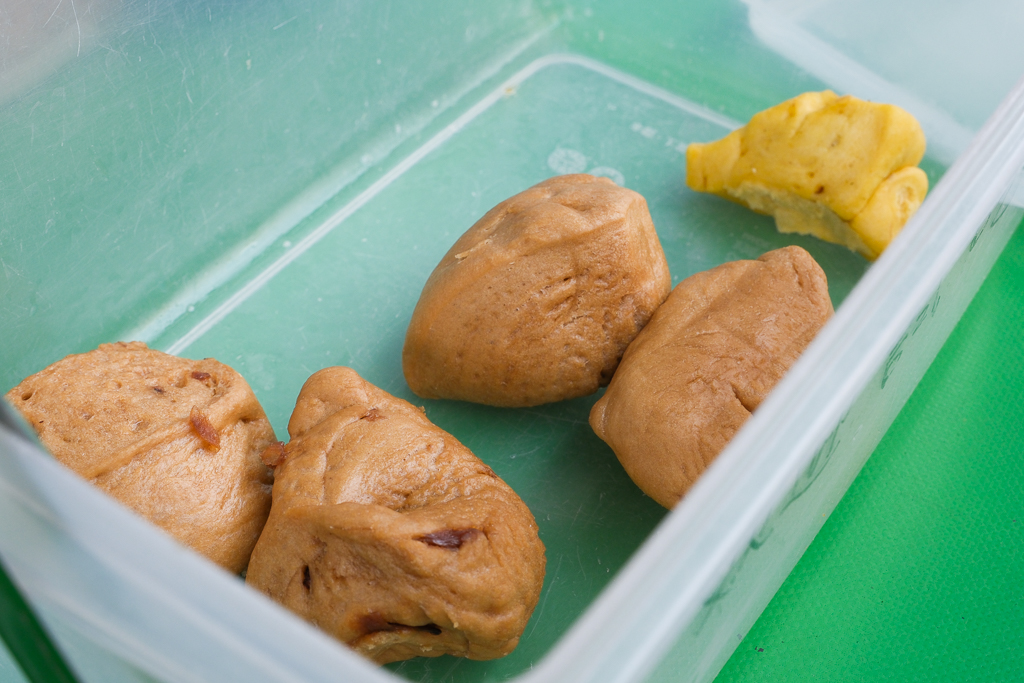 苗栗通霄｜阿潔饅頭．天然老麵發酵揉製麵糰，2000元創業腳踏車沿街叫賣 @飛天璇的口袋