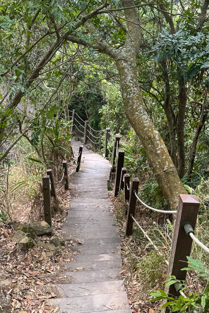 台中潭子｜新田登山步道．挑戰1063階木棧階梯．編號40小百岳聚興山 @飛天璇的口袋