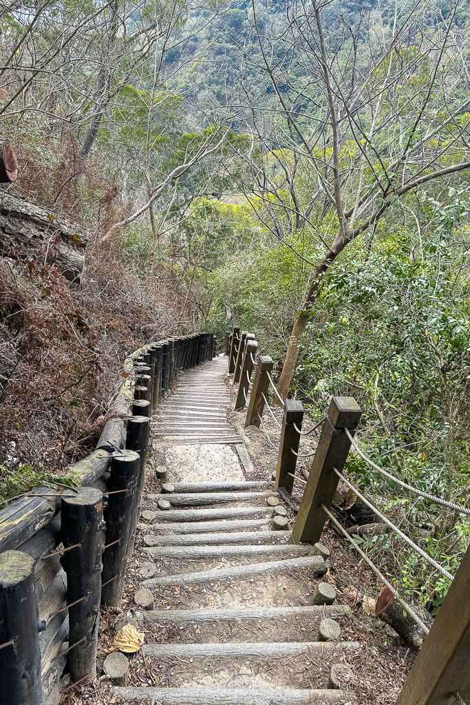 台中潭子｜新田登山步道．挑戰1063階木棧階梯．編號40小百岳聚興山 @飛天璇的口袋
