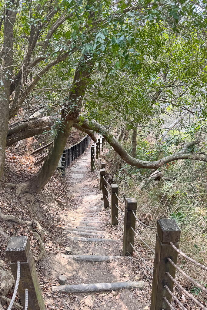 台中潭子｜新田登山步道．挑戰1063階木棧階梯．編號40小百岳聚興山 @飛天璇的口袋
