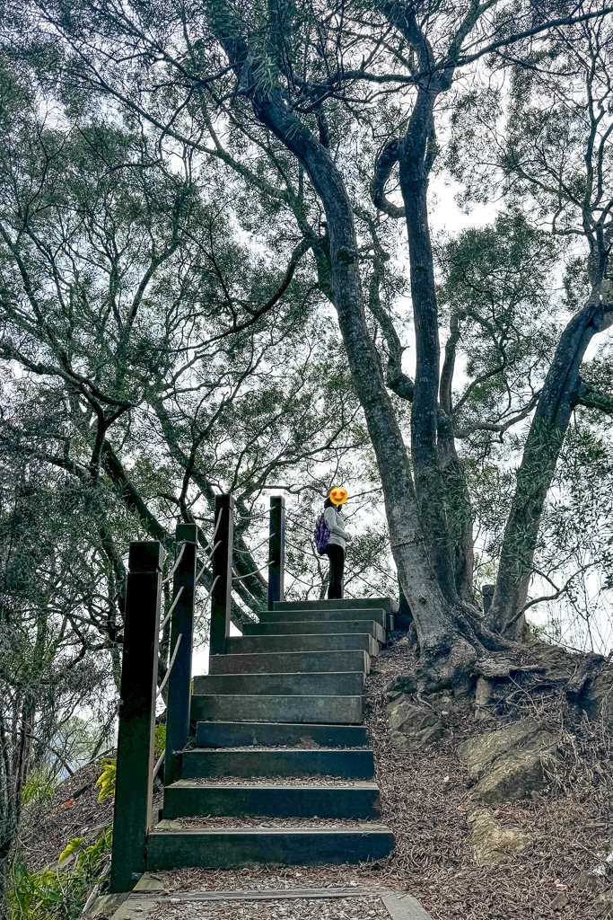 台中潭子｜新田登山步道．挑戰1063階木棧階梯．編號40小百岳聚興山 @飛天璇的口袋
