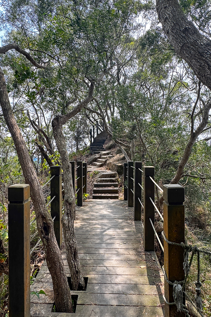 台中潭子｜新田登山步道．挑戰1063階木棧階梯．編號40小百岳聚興山 @飛天璇的口袋
