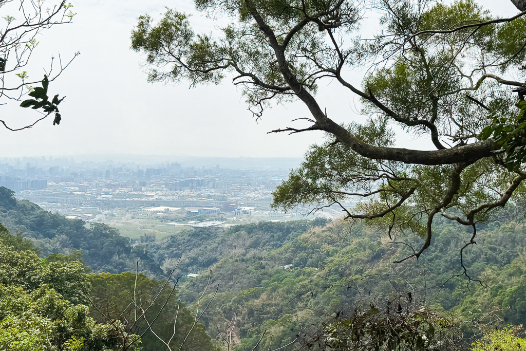 台中潭子｜新田登山步道．挑戰1063階木棧階梯．編號40小百岳聚興山 @飛天璇的口袋
