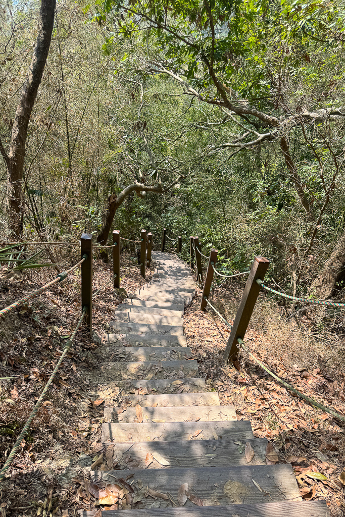 台中潭子｜新田登山步道．挑戰1063階木棧階梯．編號40小百岳聚興山 @飛天璇的口袋