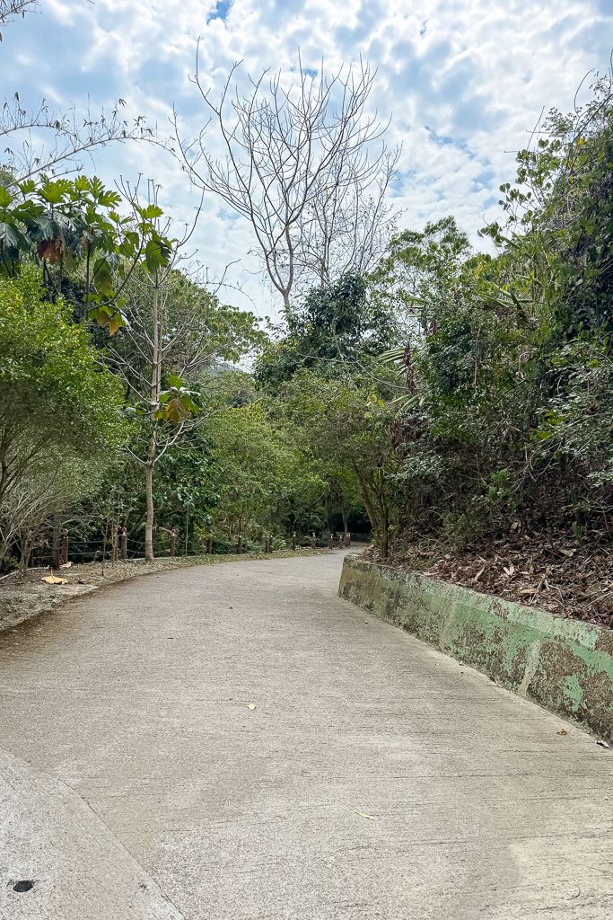 台中潭子｜新田登山步道．挑戰1063階木棧階梯．編號40小百岳聚興山 @飛天璇的口袋