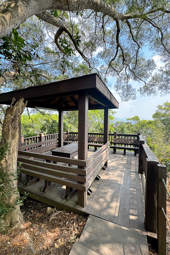 台中潭子｜新田登山步道．挑戰1063階木棧階梯．編號40小百岳聚興山 @飛天璇的口袋