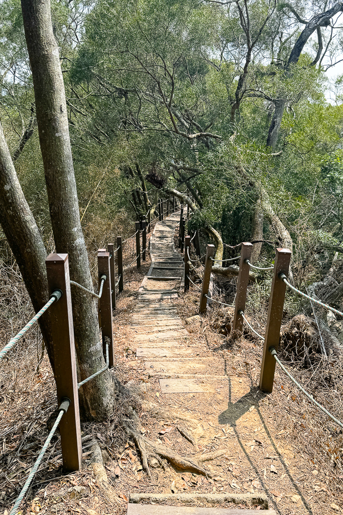 台中潭子｜新田登山步道．挑戰1063階木棧階梯．編號40小百岳聚興山 @飛天璇的口袋