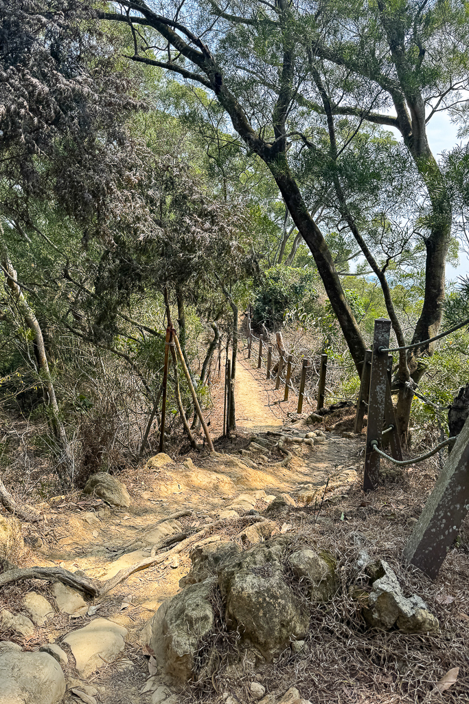 台中潭子｜新田登山步道．挑戰1063階木棧階梯．編號40小百岳聚興山 @飛天璇的口袋