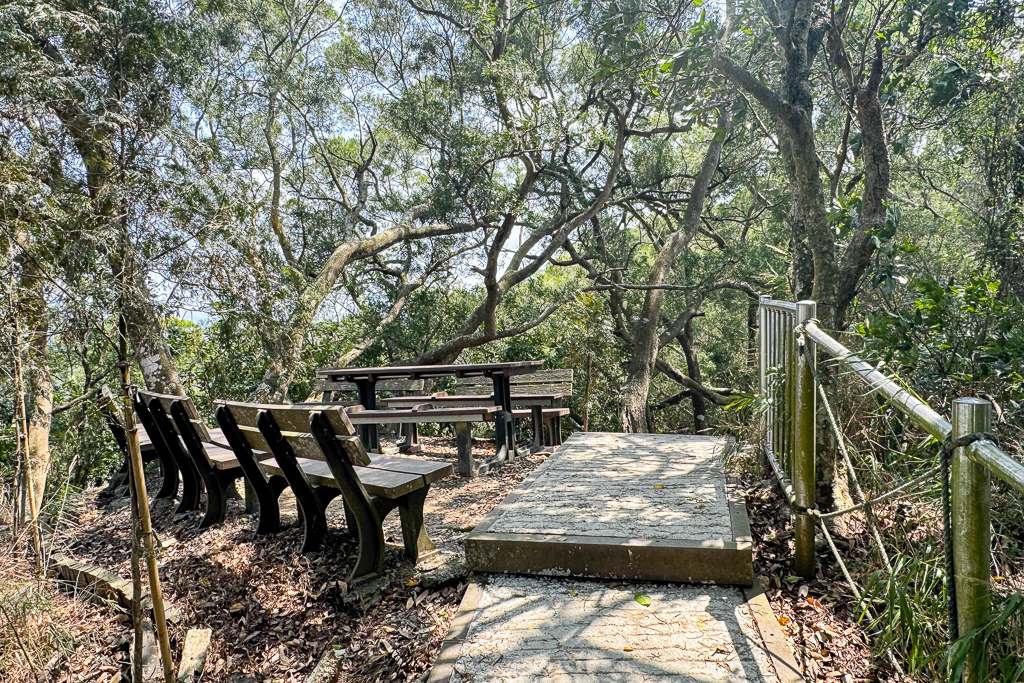 台中潭子｜新田登山步道．挑戰1063階木棧階梯．編號40小百岳聚興山 @飛天璇的口袋