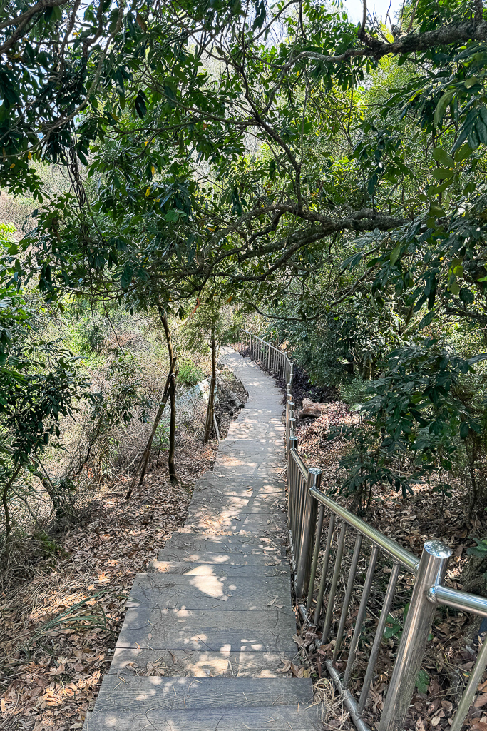 台中潭子｜新田登山步道．挑戰1063階木棧階梯．編號40小百岳聚興山 @飛天璇的口袋